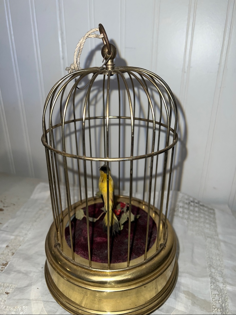 Early 20th Century Musical Bird Automaton - Picture 4 of 8